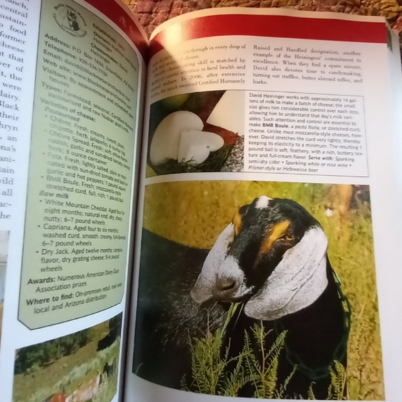 Atlas of American Artisan Cheese. Book - Picture 6 of 9